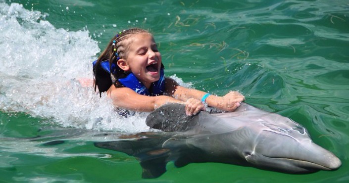 Family Activities in Punta Cana Swimming Dolphins