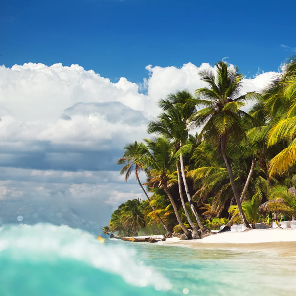 Your Concierge - Dominican Republic - The Caribbean Paradise